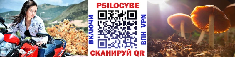 Псилоцибиновые грибы GOLDEN TEACHER  где продают   Орехово-Зуево 